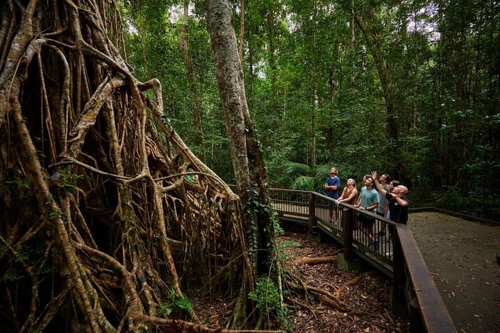 Atherton Tablelands Waterfalls Day Tour from Cairns — Millaa Millaa, Lake Eacham & Josephine Falls photo 3