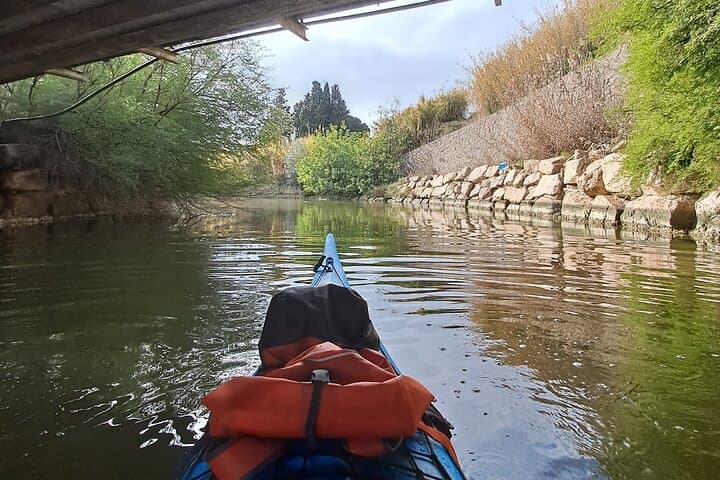 Kayak the Santa Gilla Lagoon: Private Guided Birding & Aperitif Near Cagliari photo 4
