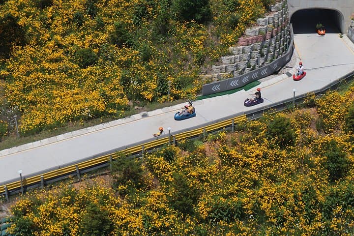 Ganghwa Spring Flowers & Seaside Railbike Day Tour from Seoul photo 5