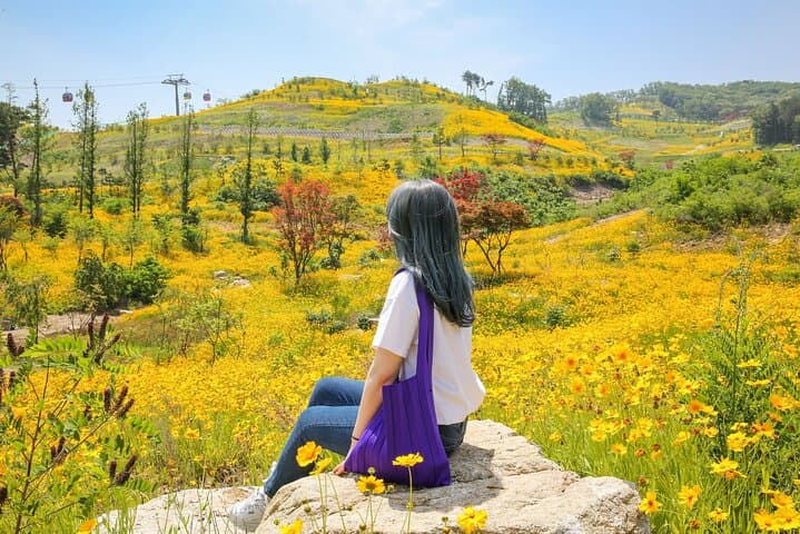 Ganghwa Spring Flowers & Seaside Railbike Day Tour from Seoul photo 6