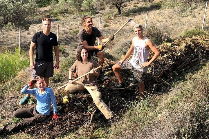 Helios Eco Lab Off-Grid Living Tour — Athens Sustainable Living Experience photo 4