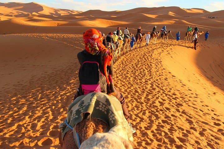 4-Day Marrakech to Merzouga Desert Escape — Kasbahs, Draa Valley & Camel Camp photo 3