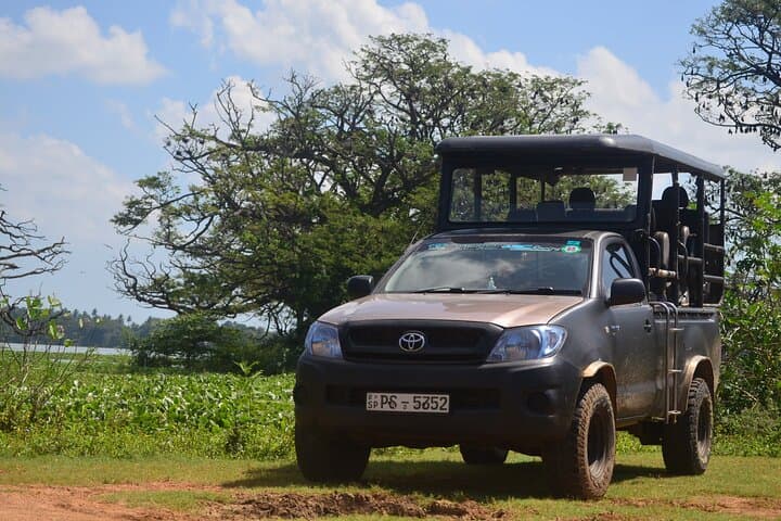 Private Yala Safari: Fast-Entry Leopard, Elephant & Birdwatching Tour