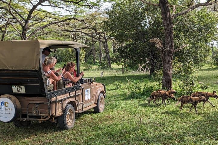 Selous Game Reserve Day Safari from Zanzibar — Fly-In Wildlife Day Trip photo 3