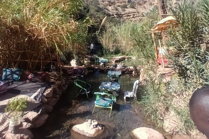 Paradise Valley Half-Day: Agadir to Taghazout Oasis and Natural Pools photo 3