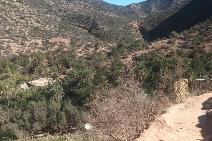 Paradise Valley Half-Day: Agadir to Taghazout Oasis and Natural Pools photo 4