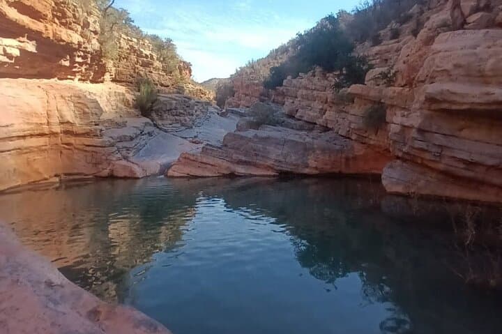 Paradise Valley Half-Day: Agadir to Taghazout Oasis and Natural Pools photo 6