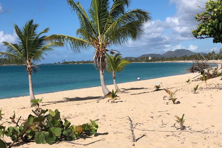Vieques Island Rich History & Sun Bay Beach Tour — Beaches, Culture, Practical Tips photo 3