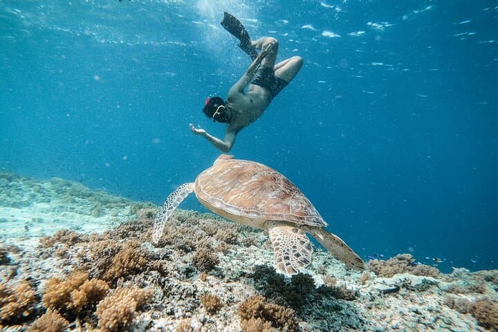 Private Snorkeling Gili Trawangan with GoPro: Turtle & Underwater Statue Tour photo 2