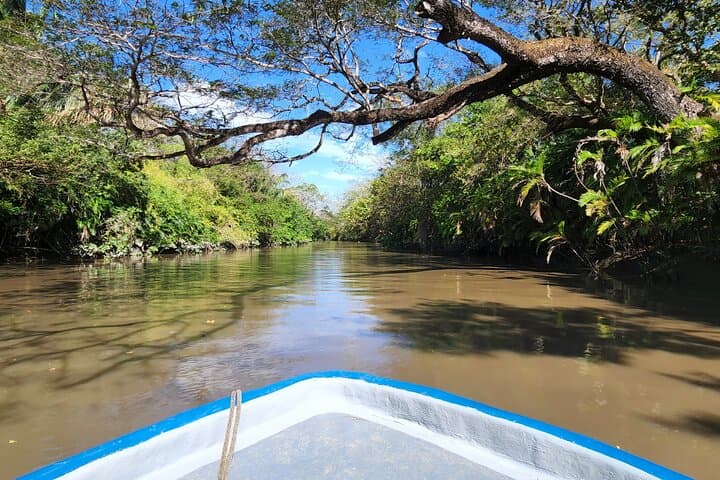 Palo Verde Tempisque River Boat Safari & Blue Zone Culture Tour photo 3