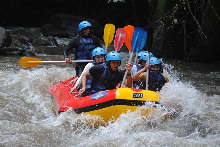 Ayung River Rafting Bali: Half-Day Whitewater Adventure with Lunch photo 3