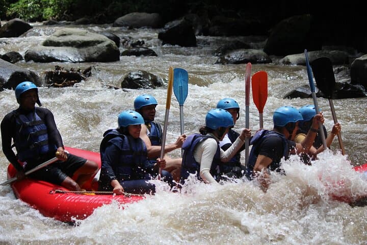 Ayung River Rafting Bali: Half-Day Whitewater Adventure with Lunch photo 5