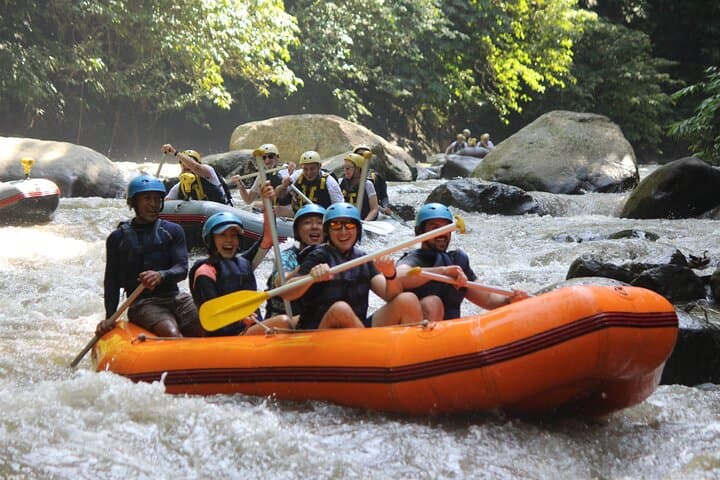 Ayung River Rafting Bali: Half-Day Whitewater Adventure with Lunch photo 6