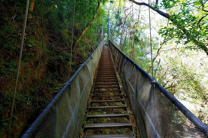 Rincón de la Vieja Waterfalls & Hot Springs: Oropéndola Falls, Mud Baths & Thermal Pools photo 5