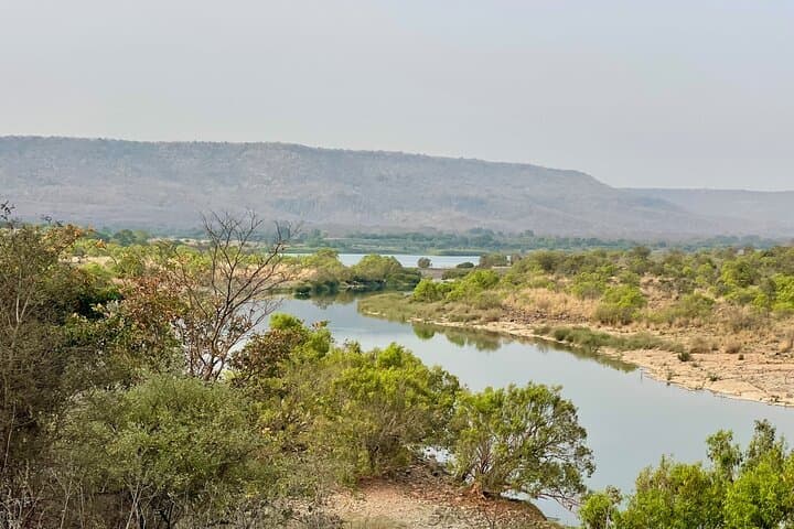 Private Tiger Watching Safari in Panna National Park — From Khajuraho photo 3