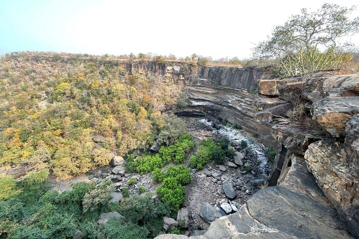 Private Tiger Watching Safari in Panna National Park — From Khajuraho photo 4