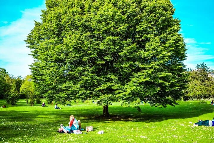 romantic-private-walking-tour-westminster-to-hyde-park-london photo 4