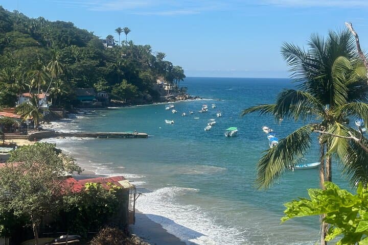 Yelapa Boat & Waterfall Walking Tour from Puerto Vallarta photo 4