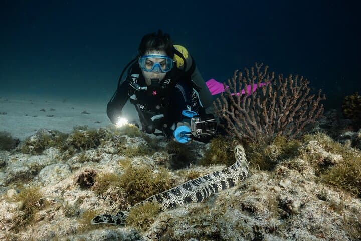 Private Full-Day Scuba Diving at Espíritu Santo Island from La Paz
