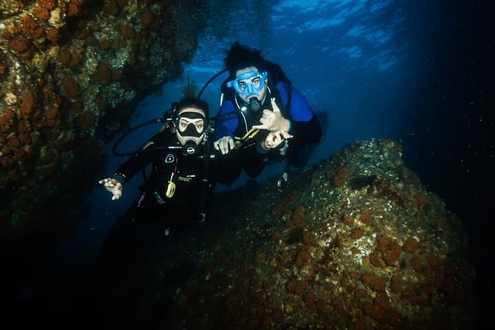 Private Full-Day Scuba Diving at Espíritu Santo Island from La Paz photo 2