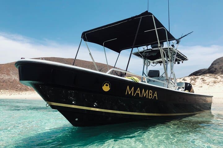 Private Full-Day Scuba Diving at Espíritu Santo Island from La Paz photo 3