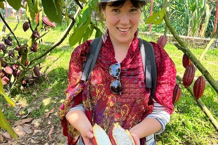 Cacao Plantation and Artisanal Chocolate Tour Near Pereira: Hands-On Cocoa Experience