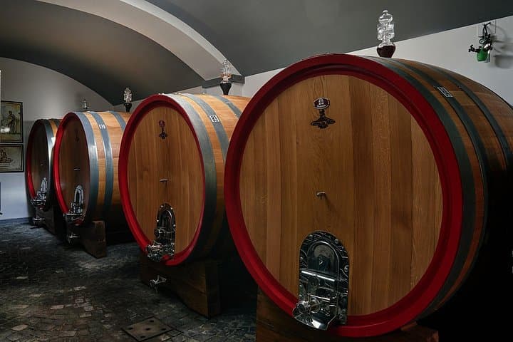 Pompeii and Vesuvius Private Tour with Wine Tasting — Archaeology, Volcano Vines & Bay Views photo 3
