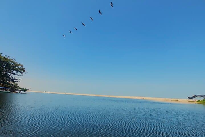 River Delta Paddle and Los Cocos Beach Day Trip from Santa Marta photo 2