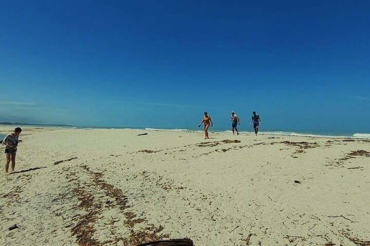 River Delta Paddle and Los Cocos Beach Day Trip from Santa Marta photo 6