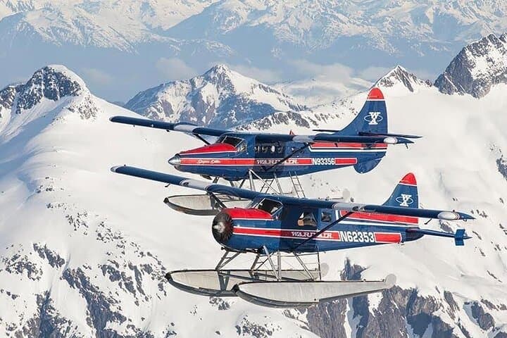 Peak-Season Bear Viewing by Seaplane Near Juneau: Chichagof Island Brown Bears photo 4