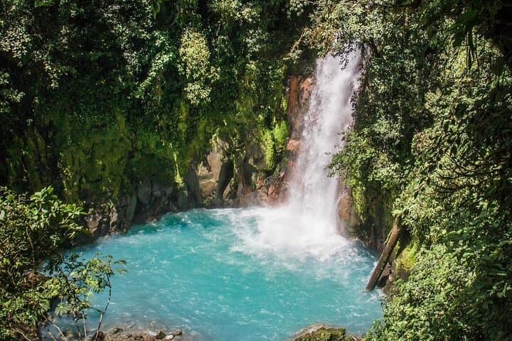 Rio Celeste Waterfall & Sloth Encounter Tour — Tenorio National Park Day Trip