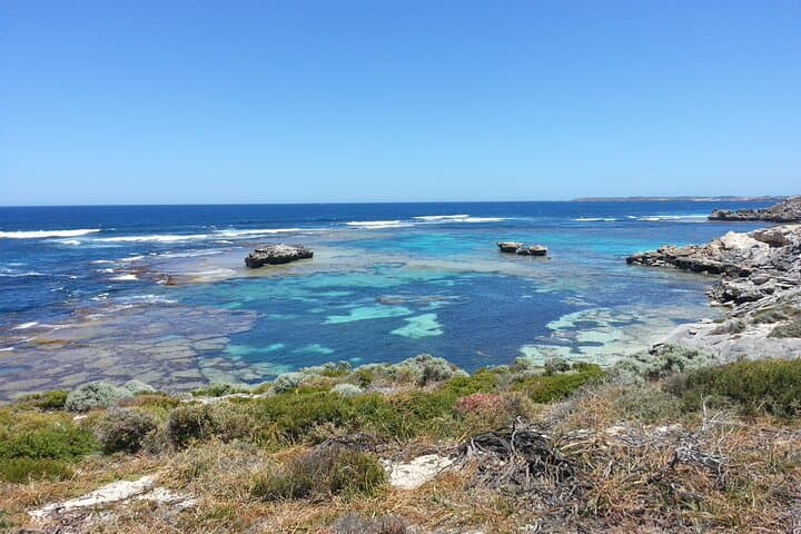Wave Rock & Rottnest Island: Air and Ground Day Tour from Perth photo 6