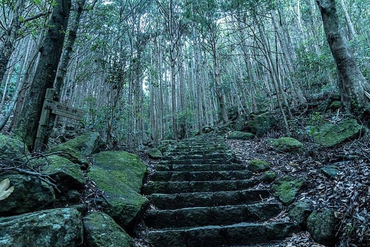 Ise & Kumano: 6-Day Private Spiritual and Geopark Adventure photo 3
