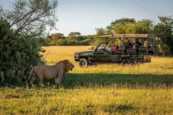 2-Day Selous Safari from Zanzibar: Game Drives & Rufiji River Boat Cruise photo 3
