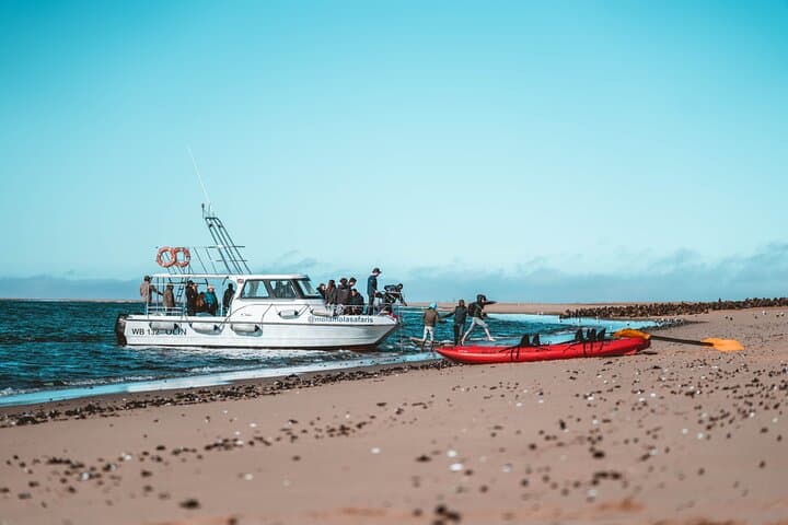 Pelican Point Kayak & Sandwich Harbor Dune Combo from Walvis Bay photo 2
