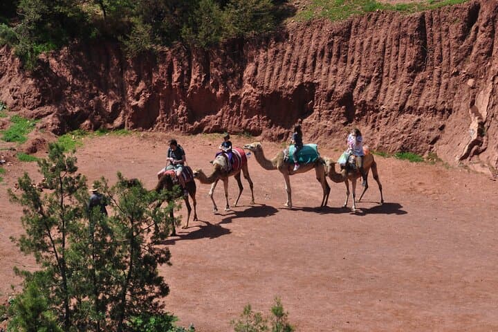 Agafay Desert Camel Ride & Sunset Stargazing from Marrakech photo 4