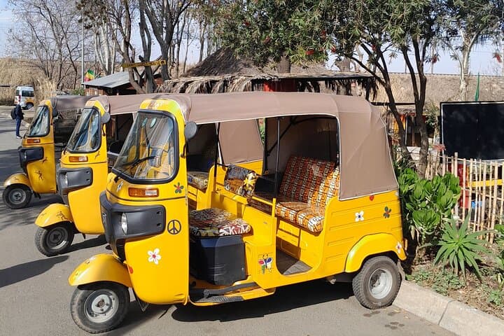 Bike or Tuk Tuk Soweto: Guided Vilakazi Street & Mandela House Cultural Tour