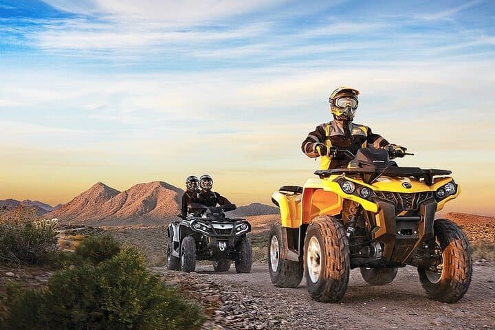 Red Sea Desert Quad and Camel Experience from Sharm El Sheikh photo 2