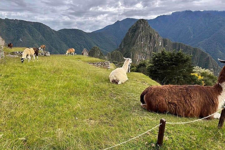 Short Inca Trail to Machu Picchu: 2-Day Hike from Km 104 to the Sun Gate photo 4