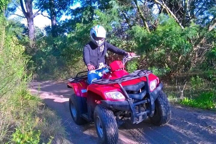 Wilderness Quad Biking on the Garden Route: 30-Min Guided Bush Ride photo 3