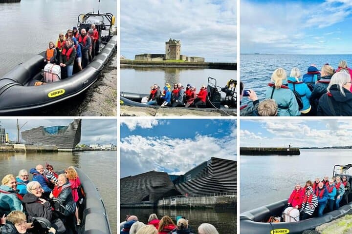 Tay Estuary Speedboat Seafari: Dolphins, Seals & Coastal Sights