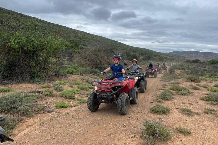 Klein Karoo Quad Bike Ride in Oudtshoorn - 30-Minute Farm ATV Experience photo 4