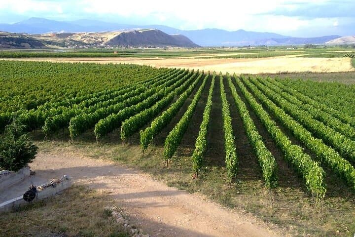 Amyntaio Wine & Lakes Private Tour: Xinomavro Tastings and Vegoritida Views photo 3