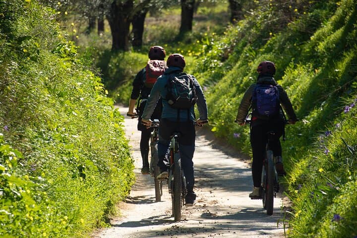 E-Bike Kalamata Olive Routes: Guided Electric Bike Tour Through Kalamata's Olive Groves photo 3