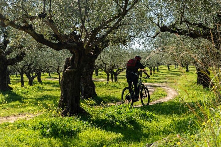 E-Bike Kalamata Olive Routes: Guided Electric Bike Tour Through Kalamata's Olive Groves photo 4