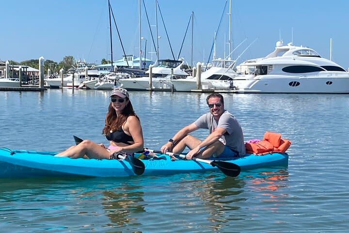 St. Augustine SUP Adventure: Paddle with Dolphins, Manatees & Sea Turtles photo 2