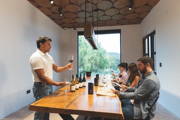 Mendoza VIP Wine Tasting Experience — Uco Valley Private 4x4 Wine Tour photo 4