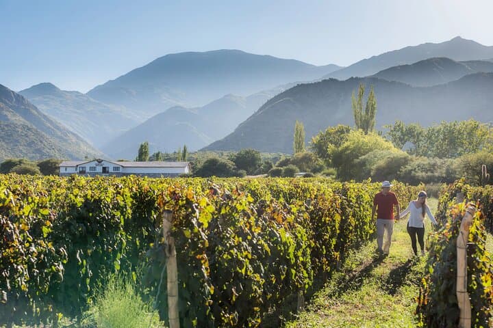 Mendoza VIP Wine Tasting Experience — Uco Valley Private 4x4 Wine Tour photo 2