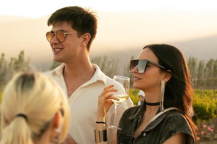 Mendoza VIP Wine Tasting Experience — Uco Valley Private 4x4 Wine Tour photo 3