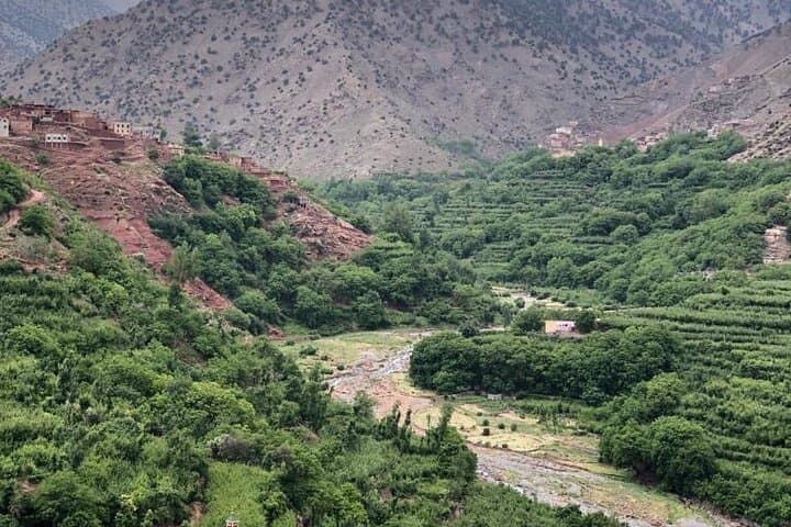 Full-Day Atlas Mountains Trek with Authentic Berber Lunch from Marrakech photo 3